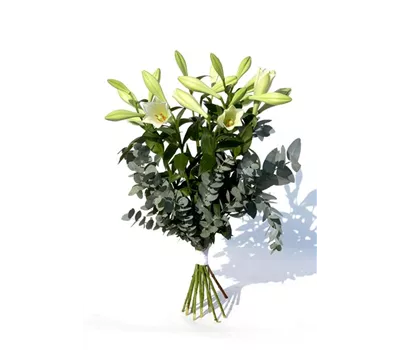 Lilienstrauß "Danke Mama" mit Eukalyptus gebunden