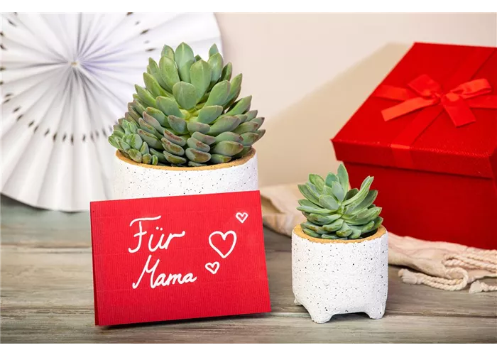Geschenke
