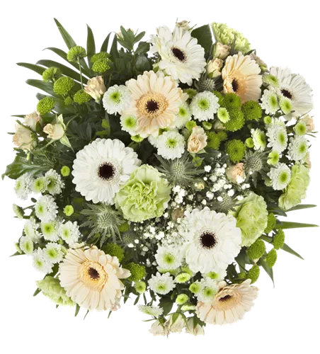 Blumenstrauß "Pure Eleganz" Blumenstrauß "Pure Eleganz"