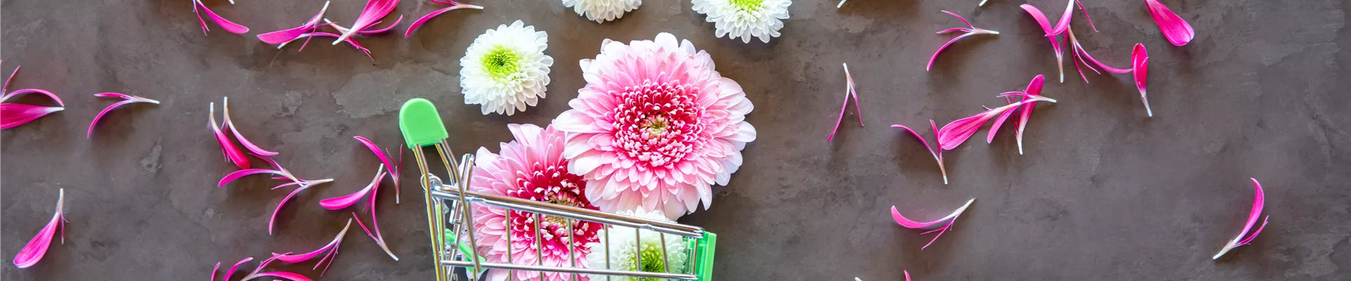 Einkaufswagen mit Blüten Einkaufswagen mit Blüten