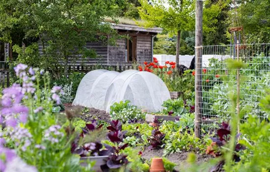 Ein Selbstversorgergarten sorgt für Freiheit Ein Selbstversorgergarten sorgt für Freiheit