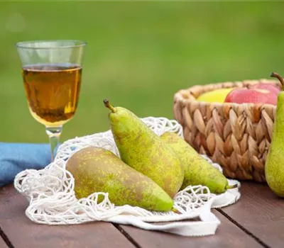 Birnen aus dem eigenen Garten genießen Birnen aus dem eigenen Garten genießen