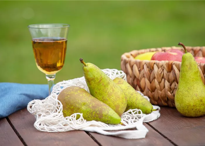 Birnen aus dem eigenen Garten genießen