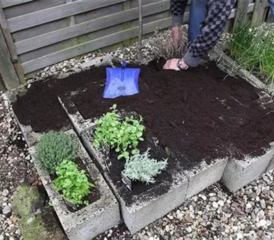 Kräuter - Einsetzen in Pflanzsteine Kräuter - Einsetzen in Pflanzsteine