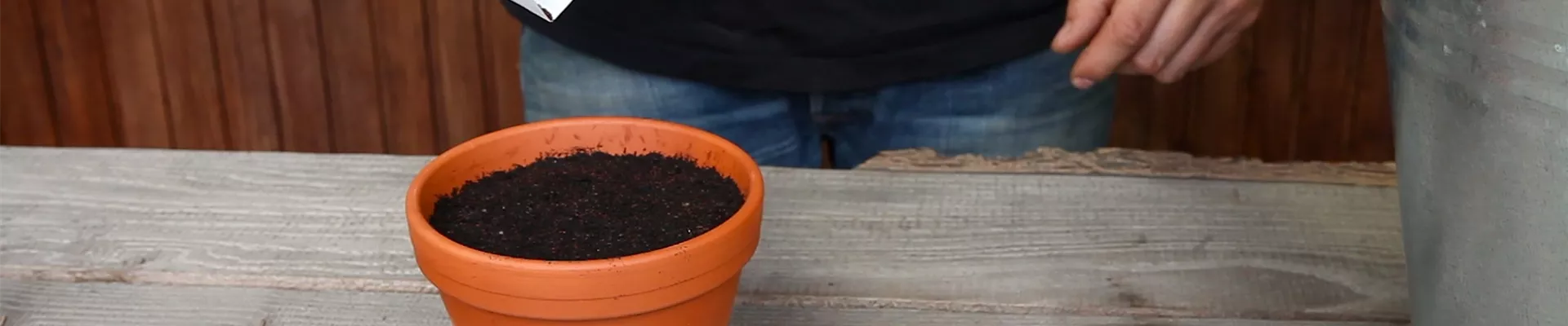 Oregano - Aussäen von Samen (thumbnail) Oregano - Aussäen von Samen (thumbnail)