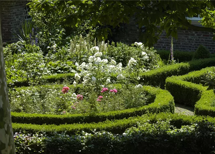Einen Bauerngarten anlegen – Mehr als nur ein spießiger Nutzgarten
